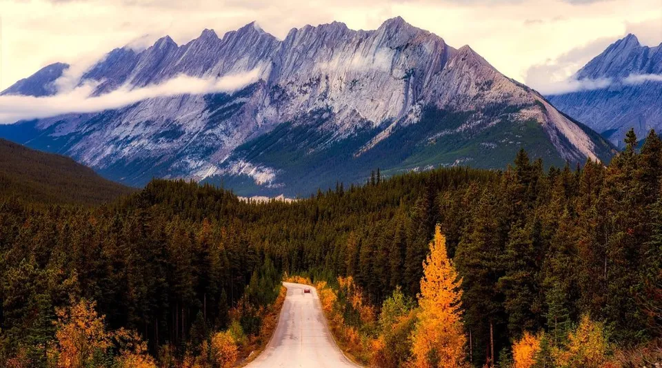 Una strada attraversa una fitta foresta con alberi autunnali davanti a imponenti montagne rocciose vicino alla Huntsville High School.