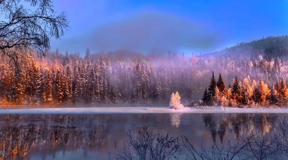 Un lago tranquillo con alberi innevati in un paesaggio nebbioso vicino alla Almonte & District High School.