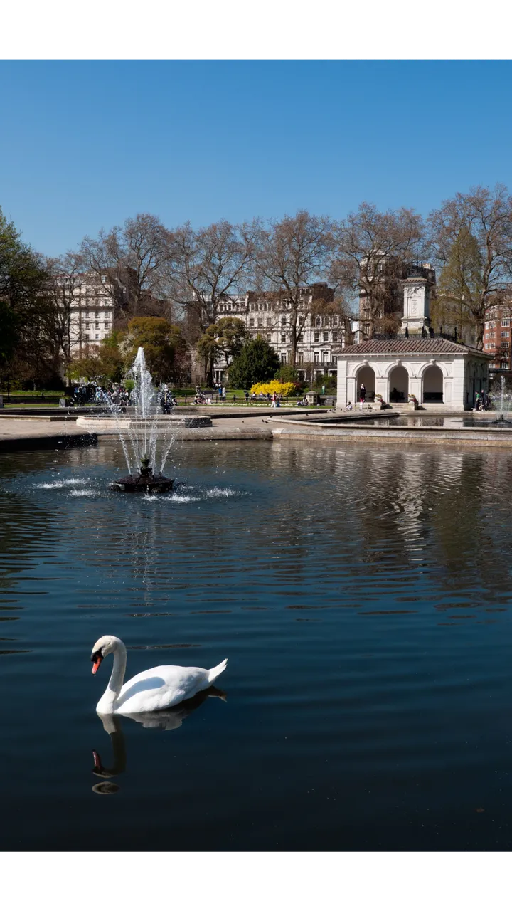 Musei di Londra e Hyde Park: full day