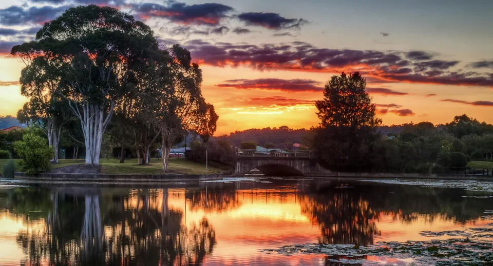 Un tranquillo lago con un salice piangente e piante ripariali riflette il tramonto vicino alla Corinda State High School.