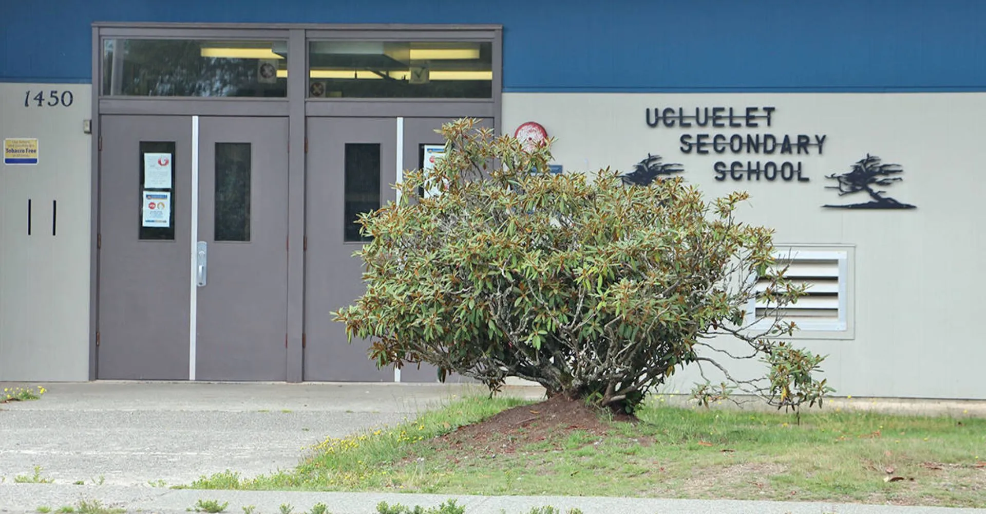 Un grande albero si trova davanti all'edificio della Ucluelet Secondary School.