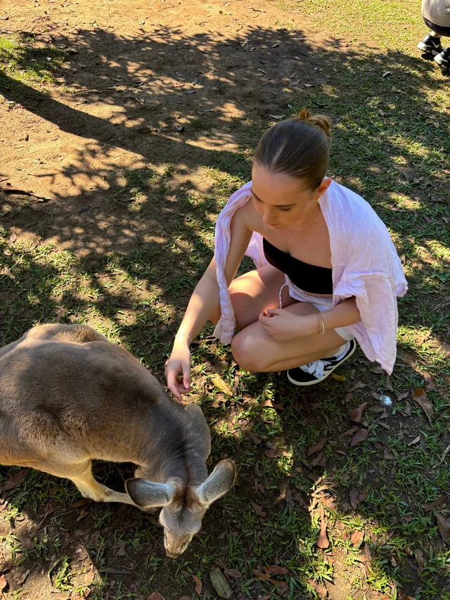 Chica agachada dando de comer a un canguro sobre la hierba de un parque