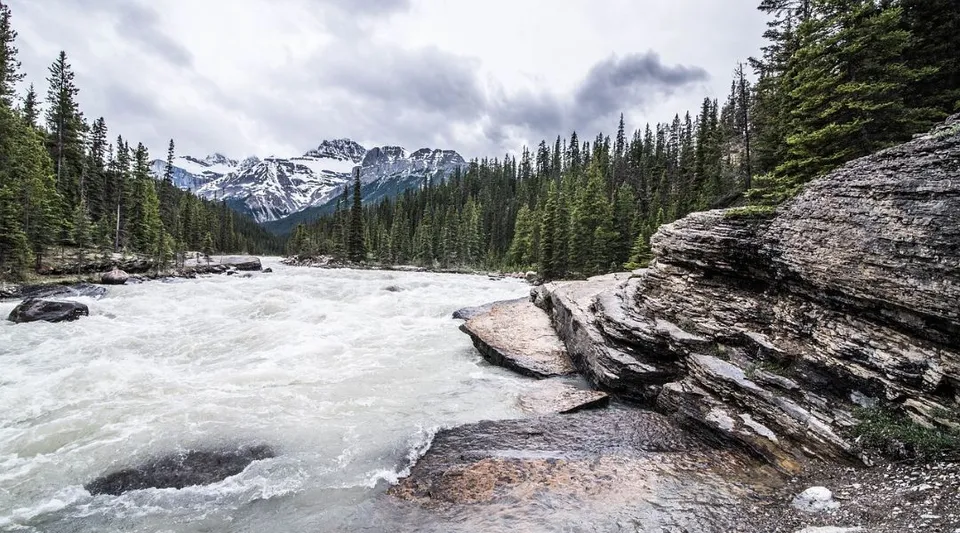 Un fiume di montagna scorre attraverso una fitta foresta, con cime innevate sullo sfondo, vicino alla Pasadena Academy.