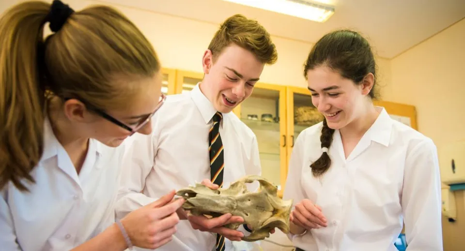 Tre studenti del Lord Wandsworth College esaminano un teschio durante la lezione di biologia.