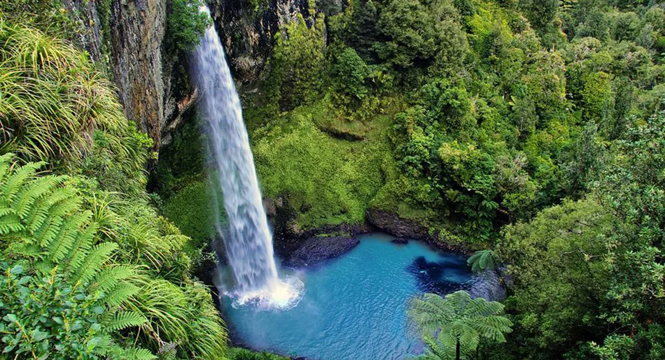 Una cascata scende lungo una parete rocciosa verde in una piscina turchese, circondata da una foresta tropicale nella proprietà del Cullinane College.