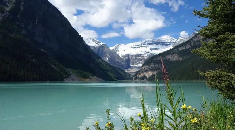 Vista su un lago alpino con montagne innevate e fiori in primo piano vicino alla John Maland High School.