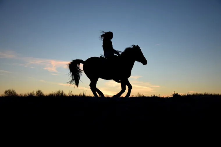 Silhouette einer Reiterin im Galopp vor dem Abendhimmel