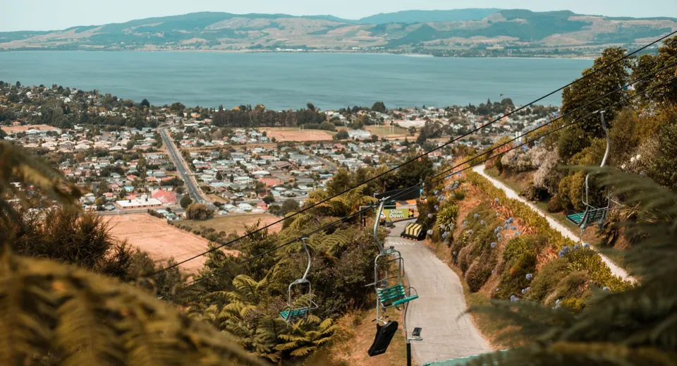 Un sentiero tortuoso attraversa una vegetazione verde con vista panoramica su una città costiera dal Roncalli College.