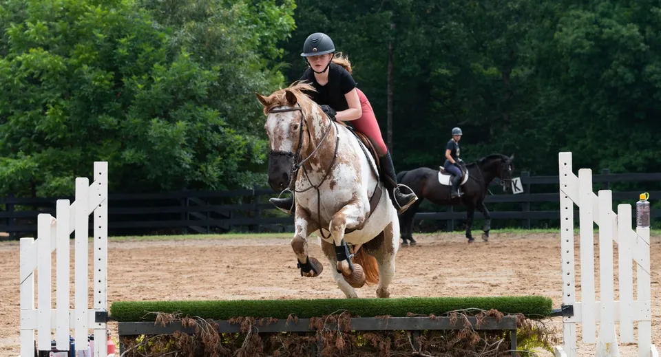 Una donna in abbigliamento da equitazione cavalca un cavallo pezzato oltre un ostacolo in un campo all'aperto nel campus della Chatham Hall School.