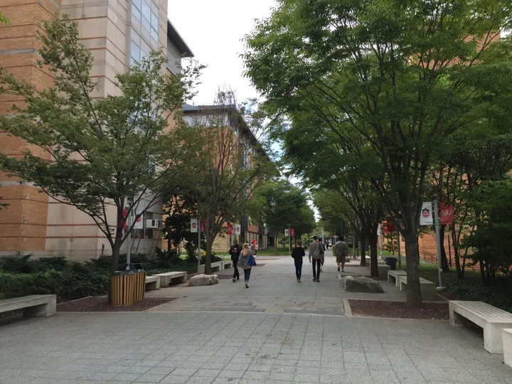Viale alberato del campus del Queens con studenti che camminano tra gli edifici in mattoni