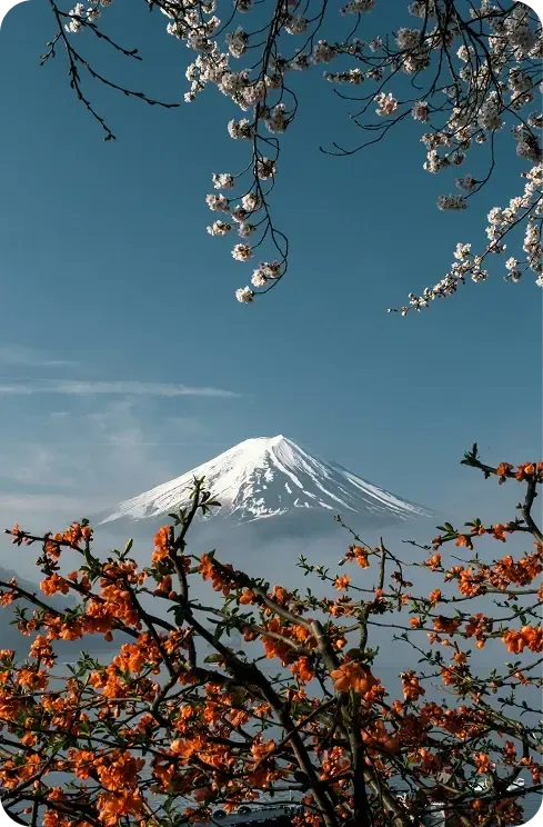 Classic Programm in Japan