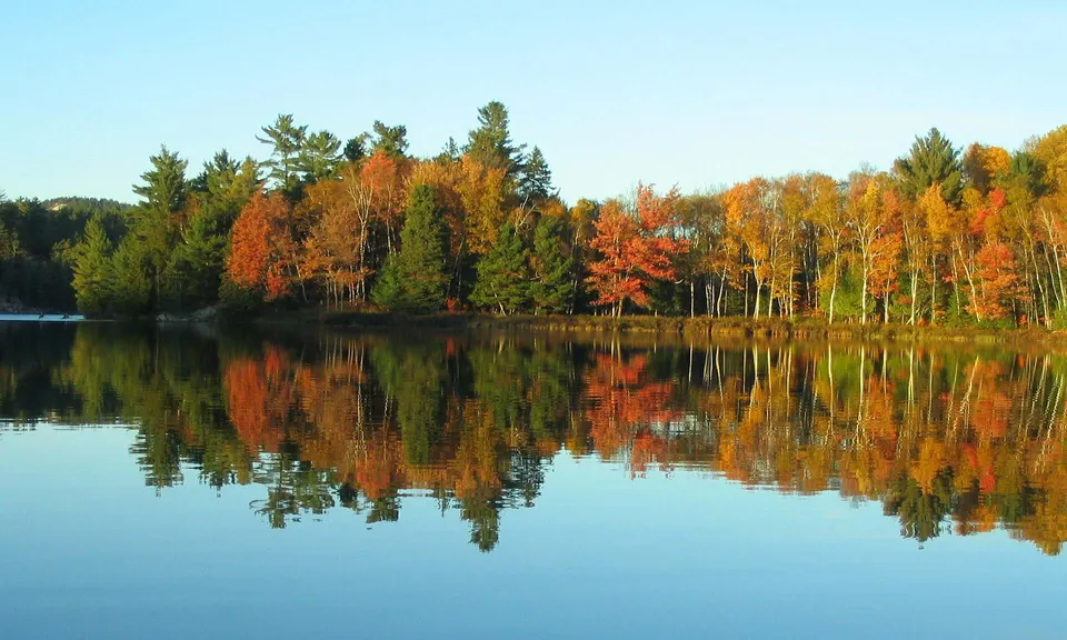 Alberi con colori autunnali sulla sponda di un lago si riflettono nell'acqua calma vicino alla Blenheim District High School.