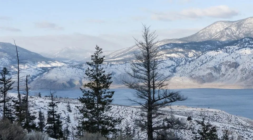 Paesaggio montano innevato con lago ghiacciato e alberi spogli sotto un cielo nuvoloso nei dintorni della Queen Elizabeth Regional High.