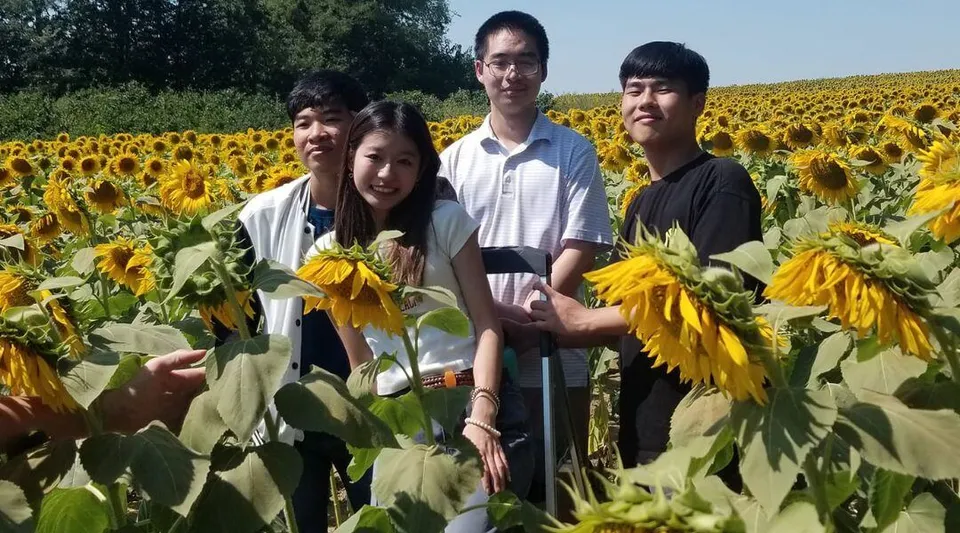 Un gruppo di quattro persone si trova presso le Overland Christian Schools in un campo pieno di girasoli splendenti sotto un cielo blu.