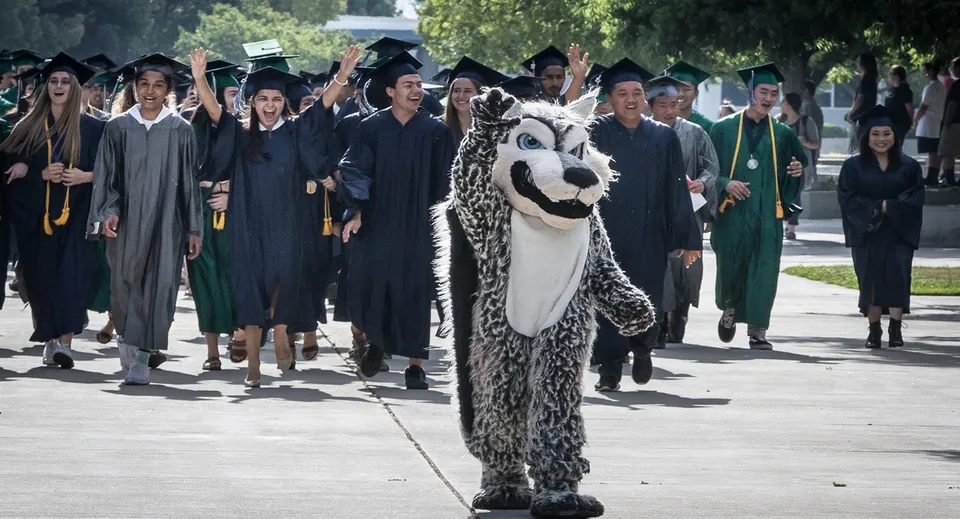Un gruppo di diplomati del Clovis Unified School District indossa l'abito accademico e cammina su un viale alberato del campus.