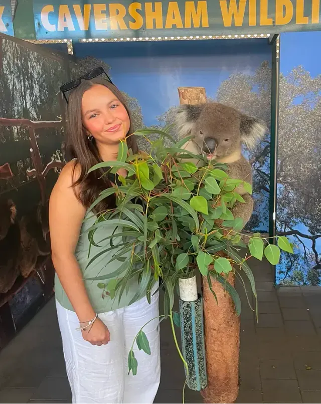 Studentessa accanto a un koala che mangia eucalipto in un parco faunistico australiano