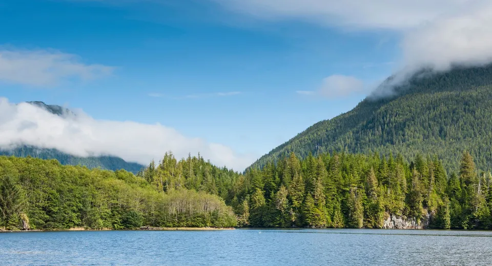Un lago tranquillo con boschi verdi e montagne sullo sfondo vicino alla Erin District High School.