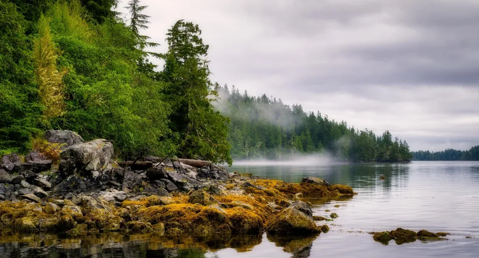 Un lago tranquillo con una fitta foresta e una sponda rocciosa vicino alla Grandview Heights Secondary School.