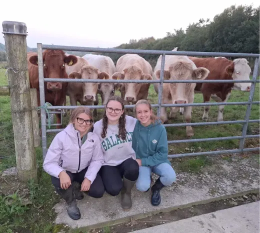 Drei Mädchen hocken vor einem Gatter mit Kühen auf einer grünen Weide in Irland