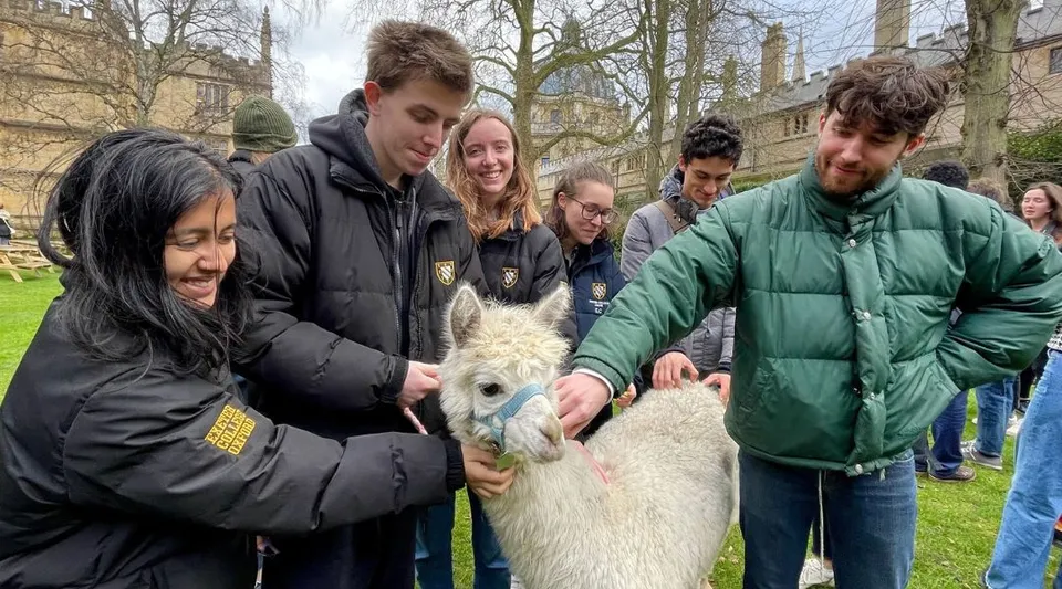 Un gruppo di studenti dell'Exeter College si trova all'aperto intorno a un alpaca bianco su un prato con alberi sullo sfondo.