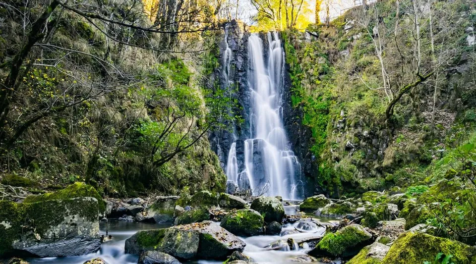 Una cascata scorre su formazioni rocciose coperte di muschio in un bosco vicino alla West Ferris School.