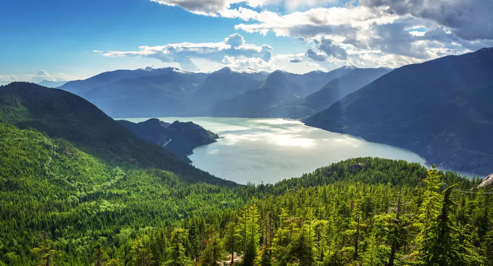 In primo piano si vede una foresta verde e un lago con montagne innevate.