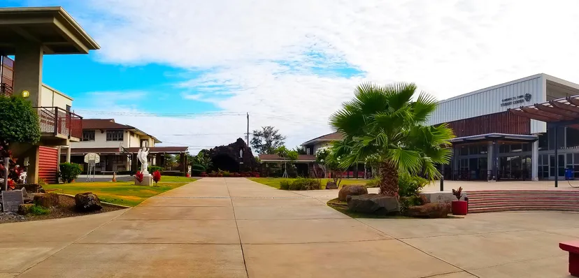 Una passeggiata pavimentata con palme attraversa l'area esterna della Sacred Hearts Academy sotto un cielo azzurro e limpido.