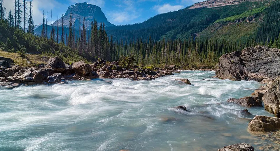 Un torrente di montagna scorre attraverso un paesaggio boschivo con alte vette sullo sfondo vicino alla Souris Regional School.