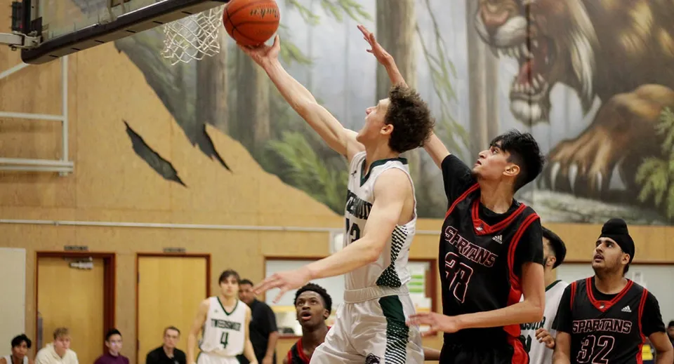 Due giocatori di basket lottano per la palla davanti a un dipinto di un bosco nell'area della North Surrey Secondary School.