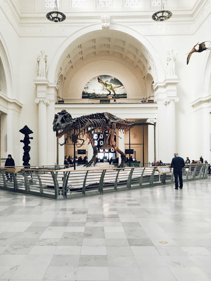 Hyde Park & Natural History Museum