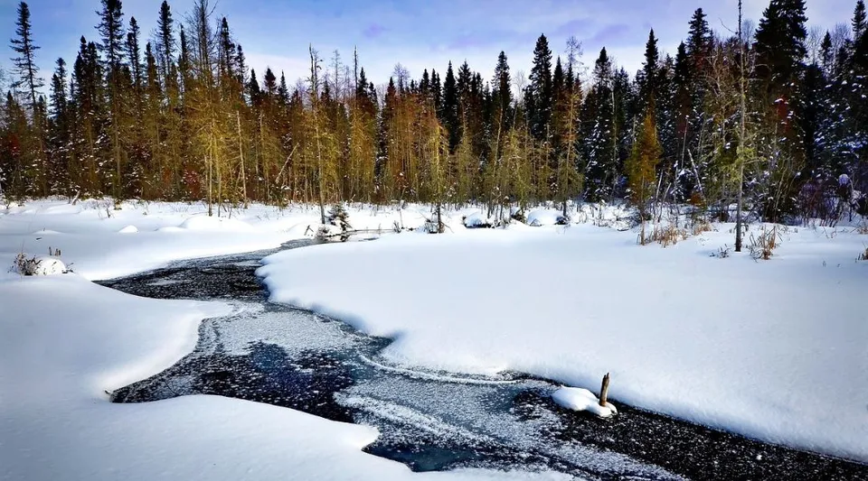 Un bosco invernale innevato con un ruscello ghiacciato nella proprietà della Indian River High.