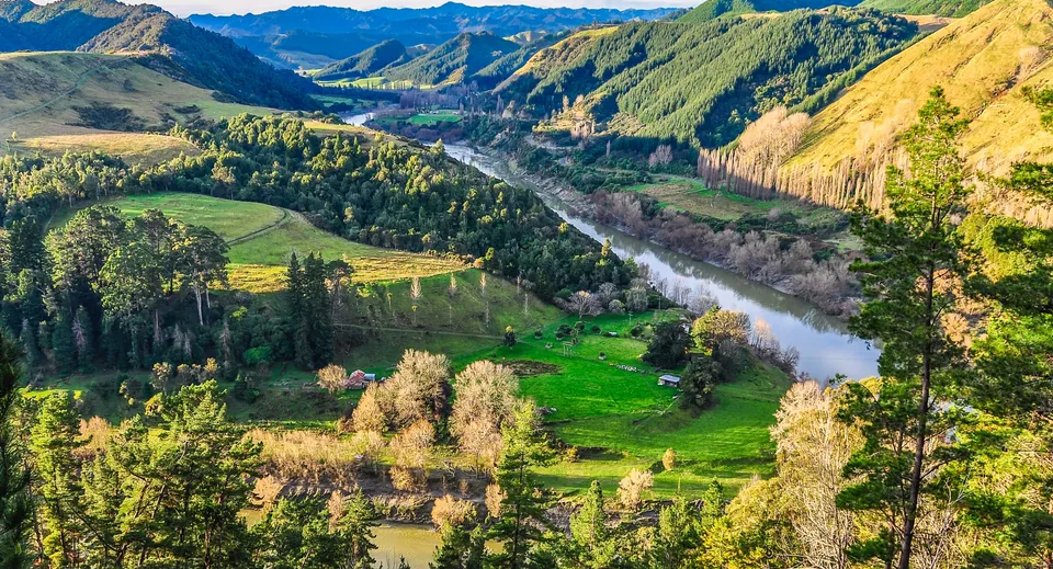 Vista su una valle verde con un fiume e un insediamento sullo sfondo, vicino al Whanganui City College.