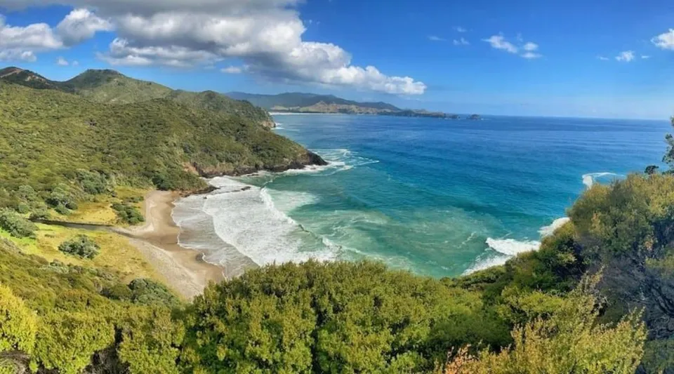 Un paesaggio costiero con vegetazione verde, montagne e acque cristalline nelle vicinanze del Mahurangi College.