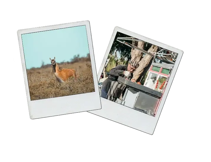 Polaroid-Collage: Argentinische Kultur erleben