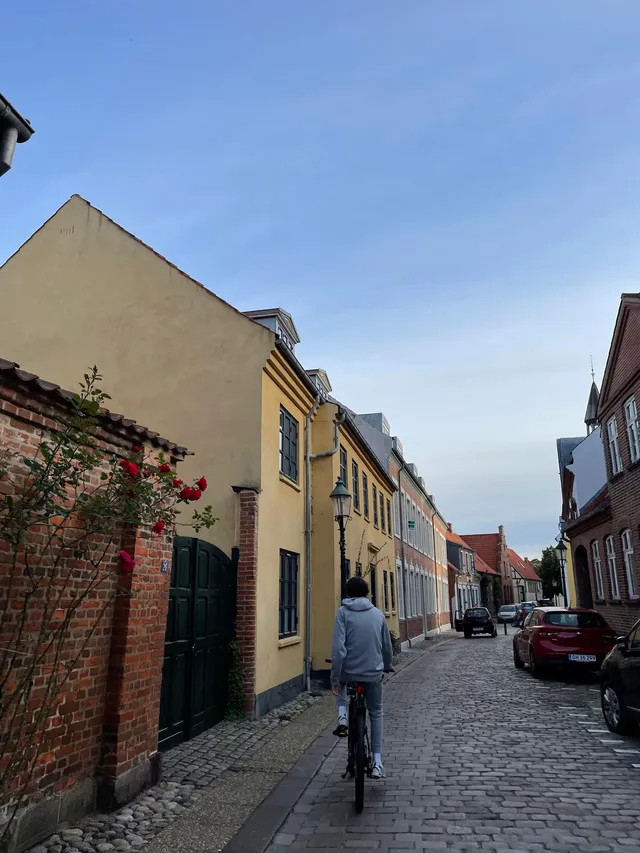 Ciclista lungo una via acciottolata tra le case gialle di una cittadina danese