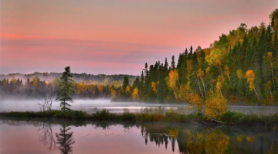 Un lago tranquillo con fogliame autunnale e un bosco nebbioso si specchia nelle acque vicino alla Iroquois Ridge High School.
