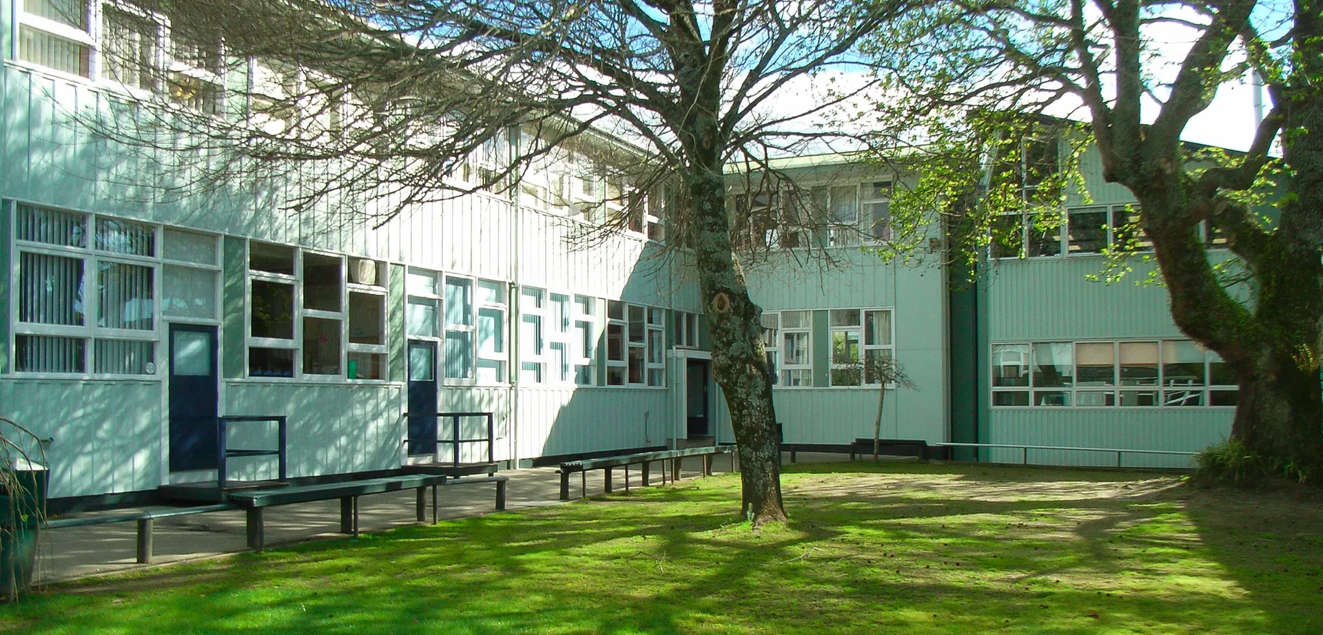 L'edificio moderno dipinto di verde del Northcote College, con grandi finestre, sorge su un prato con un grande albero in primo piano.