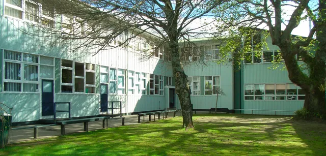 L'edificio moderno dipinto di verde del Northcote College, con grandi finestre, sorge su un prato con un grande albero in primo piano.