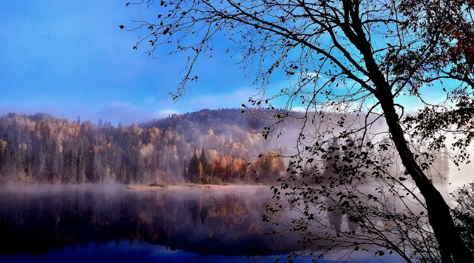 Un lago tranquillo, circondato dal bosco, mostra un paesaggio naturale pacifico vicino alla LaSalle Community Comprehensive High School.