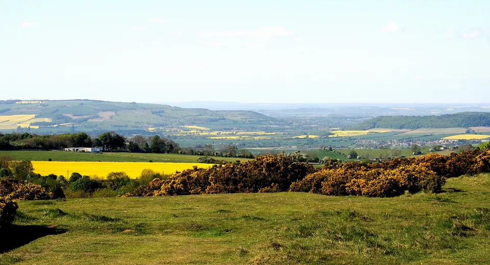 Un paesaggio pittoresco con campi gialli e boschi nelle vicinanze del Prior Park College.