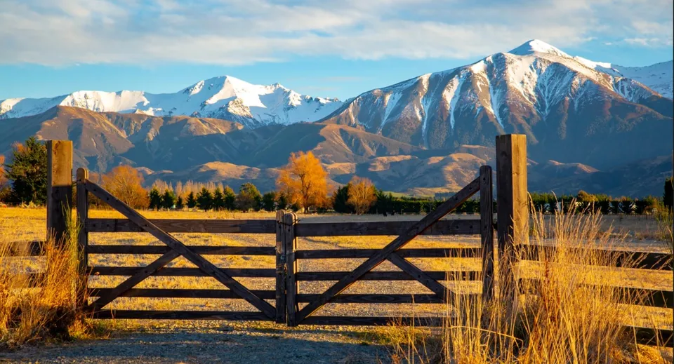 Un rustico cancello in legno nel campus della Whanganui Collegiate School conduce a un vasto campo dorato con montagne innevate sullo sfondo.