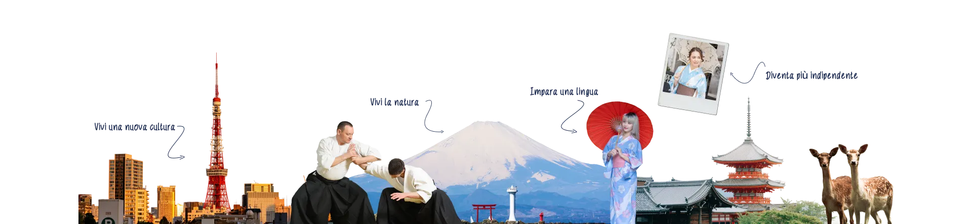 Collage sul Giappone: skyline con torre di Tokyo, arte marziale, Monte Fuji e cervi di Nara