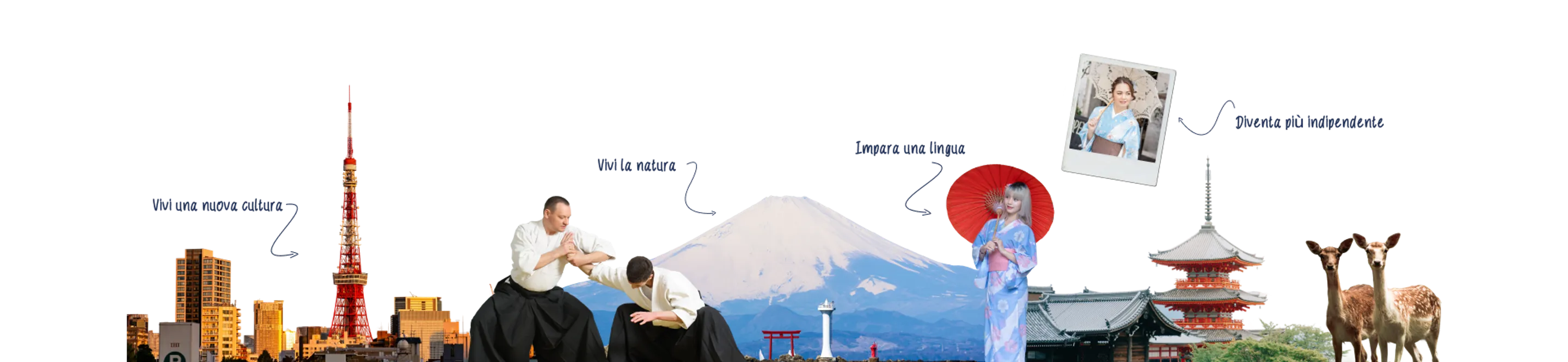 Collage sul Giappone: skyline con torre di Tokyo, arte marziale, Monte Fuji e cervi di Nara