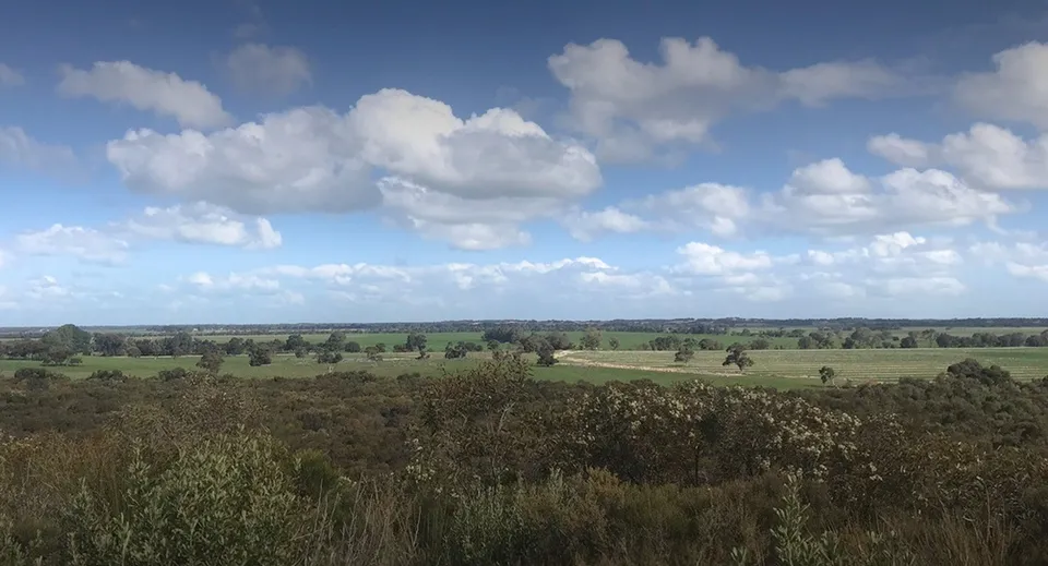 Un ampio paesaggio verde con dolci colline e alberi isolati dietro il campus della Keith Area School.
