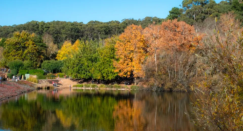 Un lago tranquillo circondato da fogliame autunnale nei pressi della Findon High School.