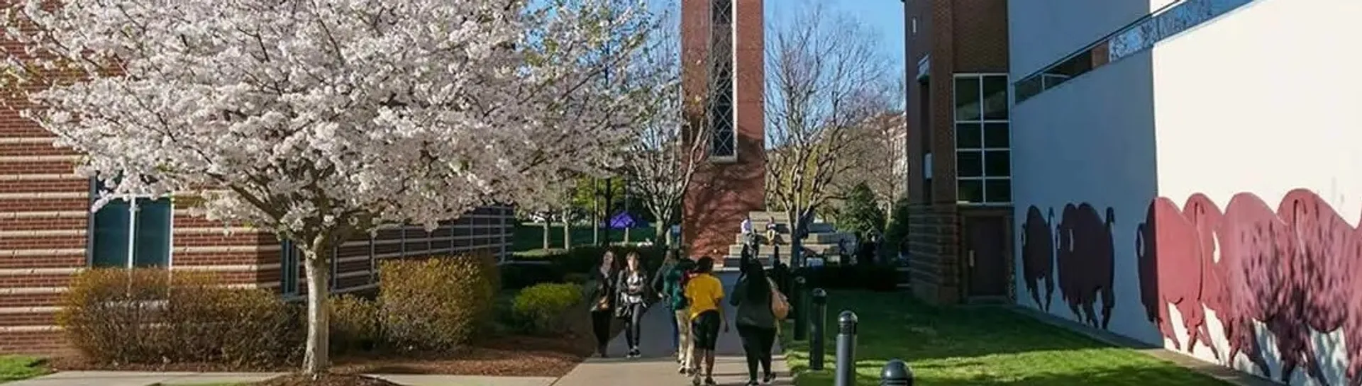 Studenti camminano nel campus della Ottawa Sports Academy Private School accanto a un albero in fiore e ad edifici in mattoni.