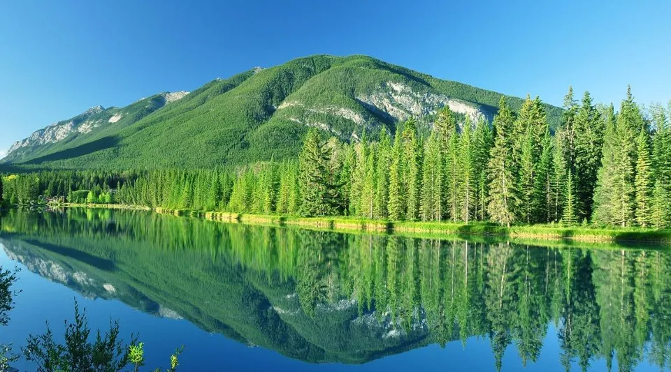 Un lago calmo riflette una montagna boscosa e dei pini nel paesaggio naturale vicino alla Thousand Islands Secondary School.