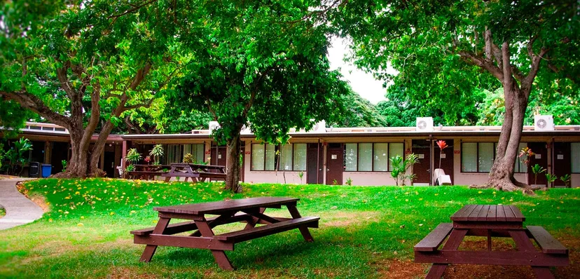 L'area picnic verde nel campus della Trinity Christian School con tavoli e panche di legno sotto gli alberi.