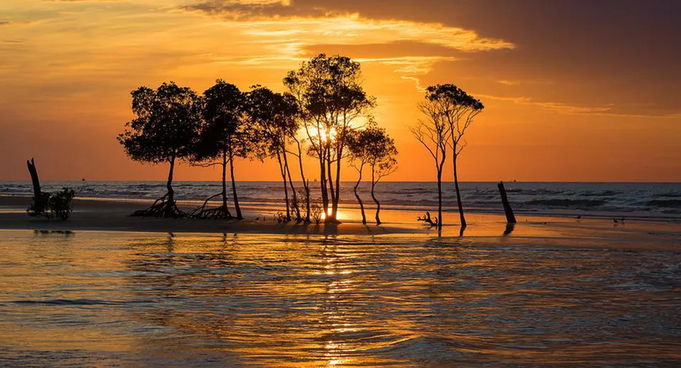 Un tranquillo tramonto sull'acqua con sagome di alberi, fotografato vicino alla Hervey Bay State High School.