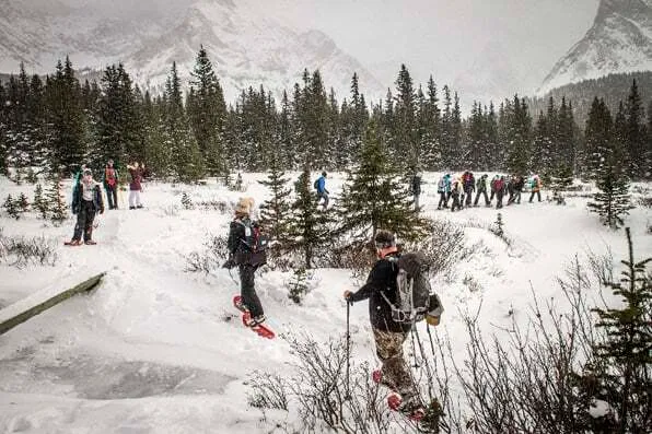Personas haciendo senderismo con raquetas de nieve en un bosque rodeado de montañas